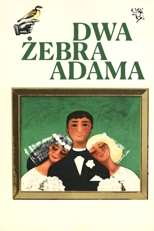 Dwa żebra Adama