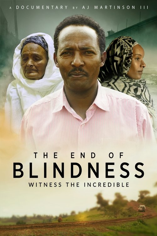 The End of Blindness (2021)