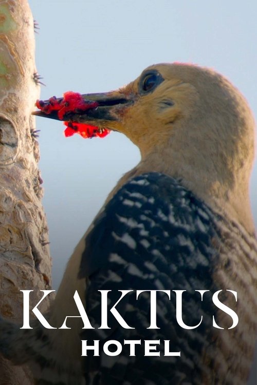 Kaktus Hotel (2023)